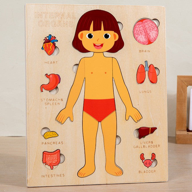 Puzzle du corps humain - Jouet Éducatif Montessori pour Enfants