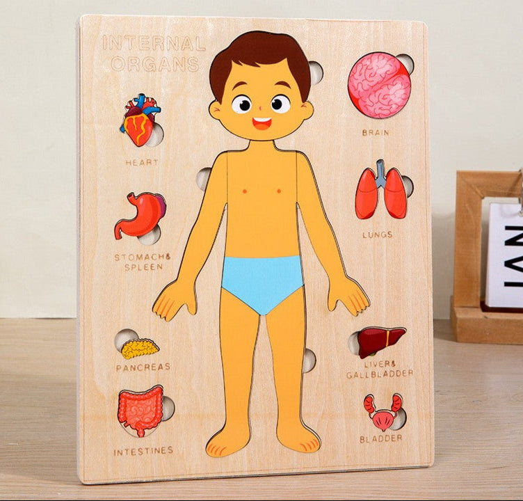 Puzzle du corps humain - Jouet Éducatif Montessori pour Enfants