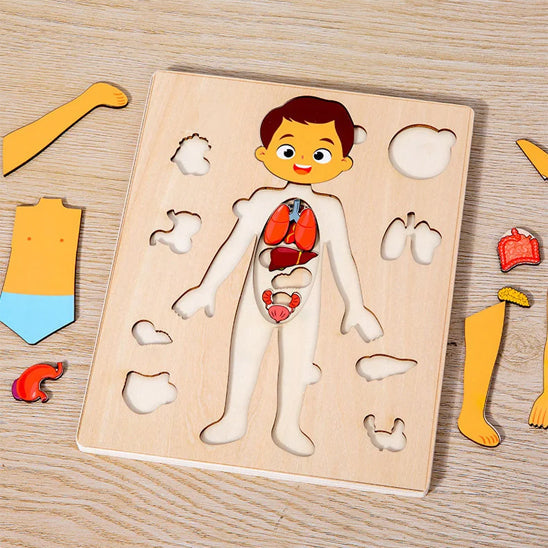 Puzzle du corps humain - Jouet Éducatif Montessori pour Enfants