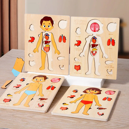 Puzzle du corps humain - Jouet Éducatif Montessori pour Enfants
